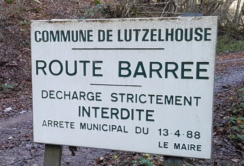 Des remblais dans la forêt de Lutzelhouse